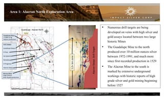 12
Area 1: Alacran North Exploration Area
• Numerous drill targets are being
developed on veins with high silver and
gold assays located between two large
historic Mines
• The Guadalupe Mine to the north
produced over 10 million ounces silver
between 1972-1991, and much more
since first recorded production in 1529
• The Alacran Mine to the south is
marked by extensive underground
workings with historic reports of high
grade silver and gold mining beginning
before 1527
1.2+kmzone
AlacranDeepsDrillTarget
Drill Targets
Guadalupe Deeps
El Paso
San Ignacio
Remedios
El Progresso
Alacran Deeps
Guadalupe Mine
>>10M oz Ag
historic production
Alacran Mine
Large historic
silver & gold production
 