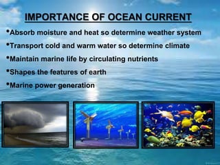 IMPORTANCE OF OCEAN CURRENT
•Absorb moisture and heat so determine weather system
•Transport cold and warm water so determine climate
•Maintain marine life by circulating nutrients
•Shapes the features of earth
•Marine power generation
 