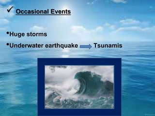 Occasional Events
•Huge storms
•Underwater earthquake Tsunamis
 