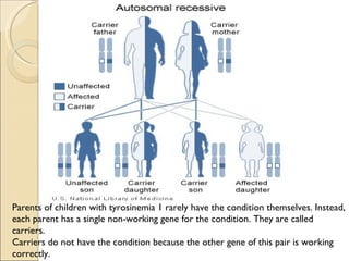 Parents of children with tyrosinemia 1 rarely have the condition themselves. Instead,
each parent has a single non-working gene for the condition. They are called
carriers.
Carriers do not have the condition because the other gene of this pair is working
correctly.   
 