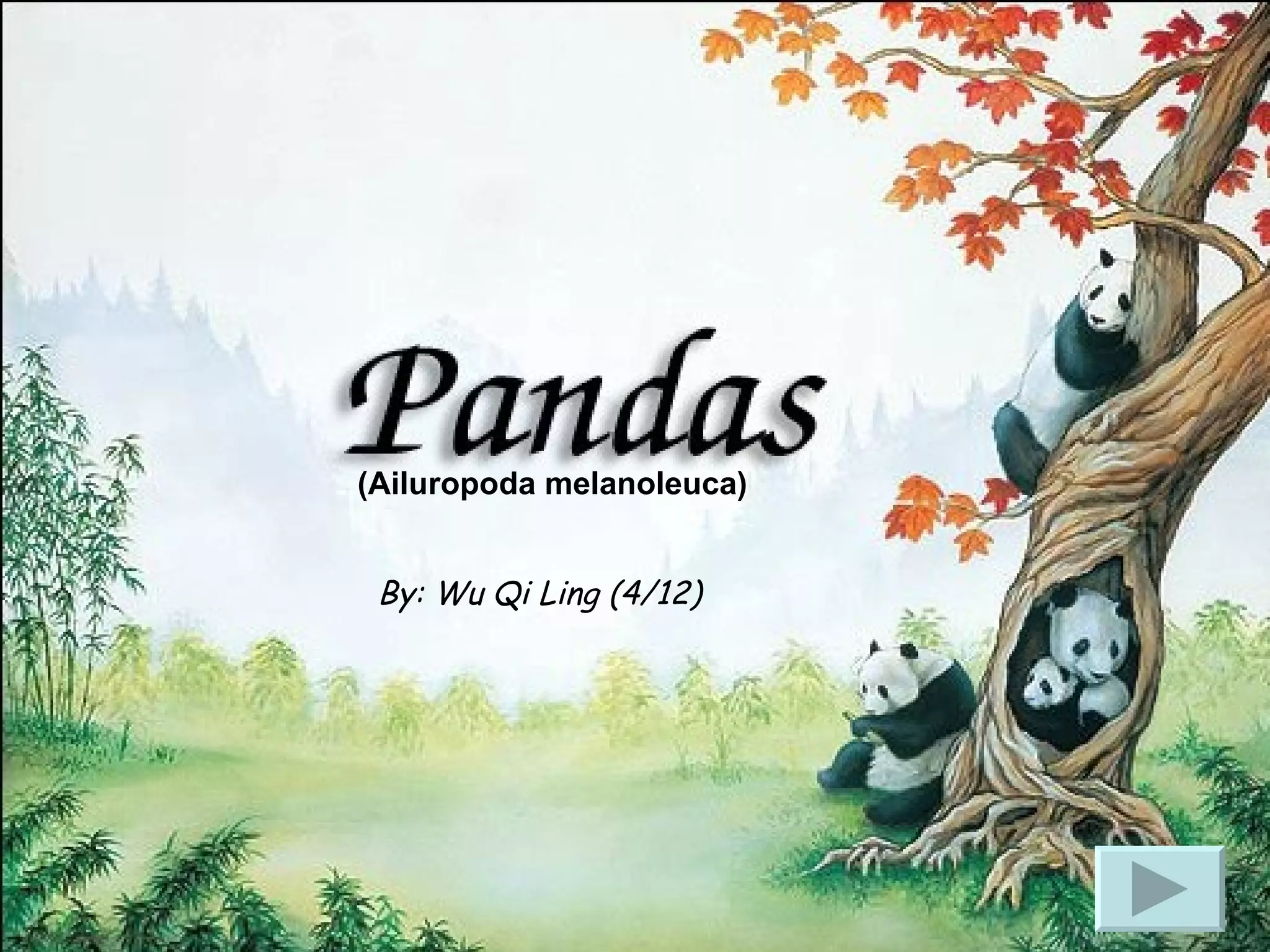 Presentation On Pandas | PPT