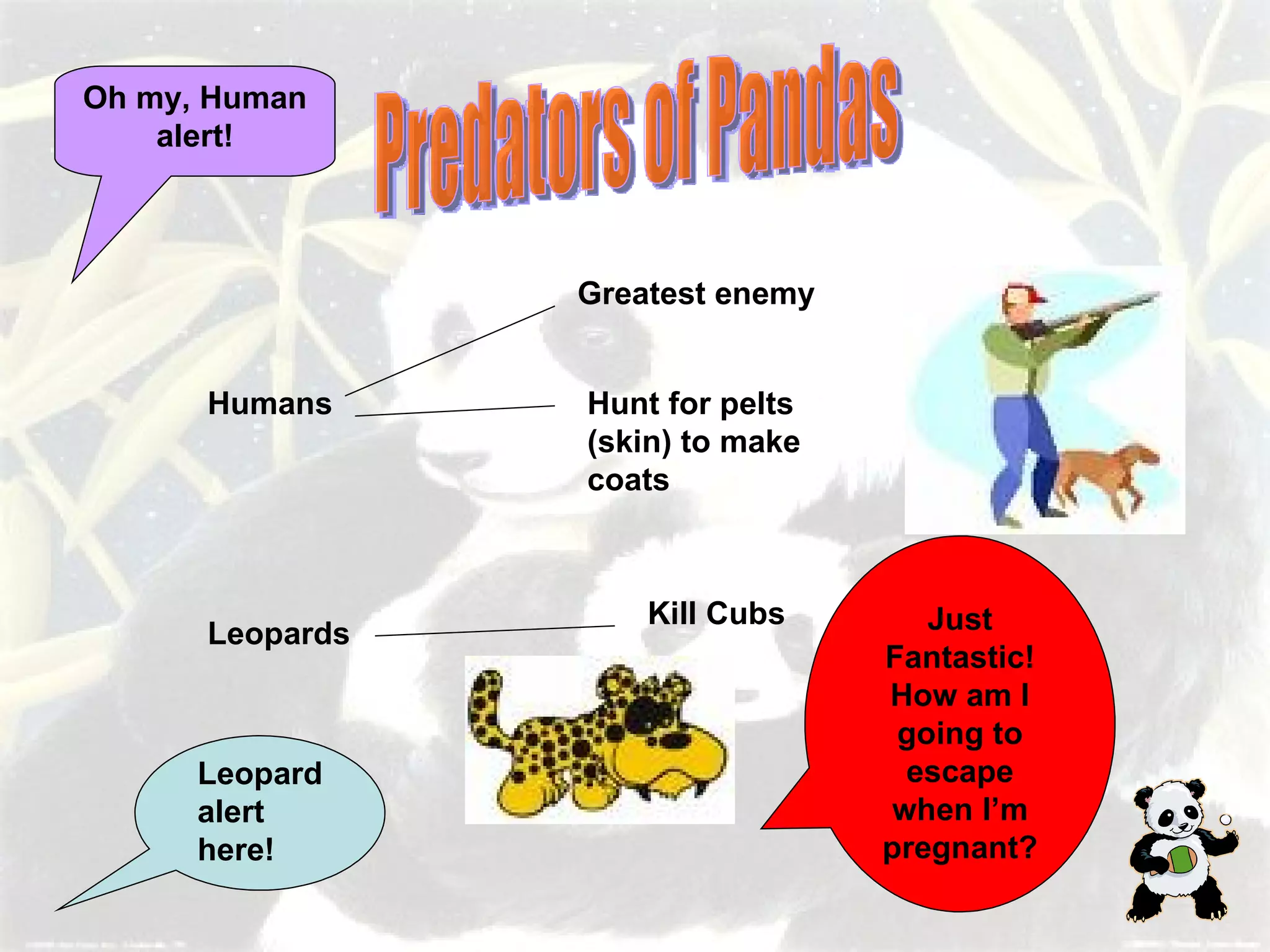 Presentation On Pandas | PPT