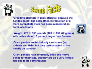 Presentation On Pandas