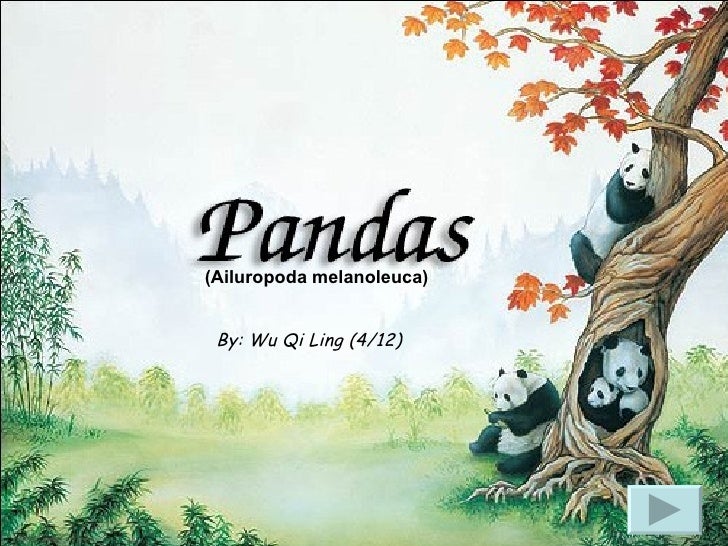 Presentation On Pandas Presentation On Pandas