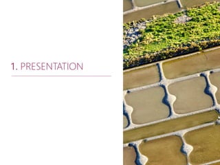 1. PRESENTATION
 