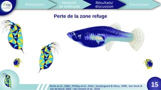 Perte de la zone refuge
Burks et al., 2006 ; Phillips et al., 2016 ; Sondergaard & Moss, 1998 ; Van Donk &
van de Bund, 2002 ; Van Onsem et al., 2010
15
 