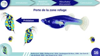 Perte de la zone refuge
Prédation
Burks et al., 2006 ; Phillips et al., 2016 ; Sondergaard & Moss, 1998 ; Van Donk &
van de Bund, 2002 ; Van Onsem et al., 2010
16
 