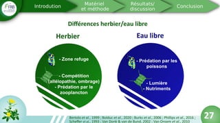 27
Différences herbier/eau libre
Bertolo et al., 1999 ; Bolduc et al., 2020 ; Burks et al., 2006 ; Phillips et al., 2016 ;
Scheffer et al., 1993 ; Van Donk & van de Bund, 2002 ; Van Onsem et al., 2010
27
 