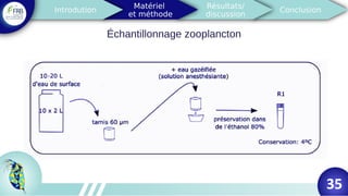 35
Échantillonnage zooplancton
35
 