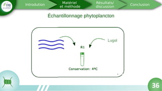Échantillonnage phytoplancton
3636
 