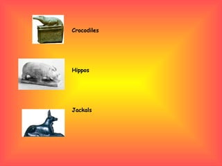 Crocodiles Hippos Jackals 