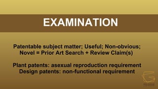 EXAMINATION
Patentable subject matter; Useful; Non-obvious;
Novel = Prior Art Search + Review Claim(s)
Plant patents: asexual reproduction requirement
Design patents: non-functional requirement
 