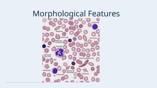 Presentation - PERIPHERAL BLOOD SMEAR AND MORPHOLOGICAL EVALUATION OF ...