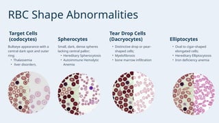 Presentation - PERIPHERAL BLOOD SMEAR AND MORPHOLOGICAL EVALUATION OF ...