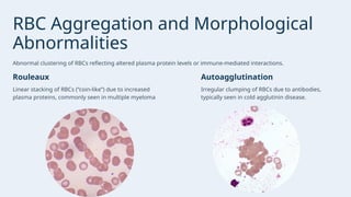 Presentation - PERIPHERAL BLOOD SMEAR AND MORPHOLOGICAL EVALUATION OF ...