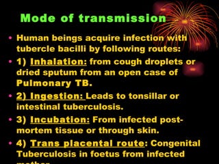 Mode of transmission   <ul><li>Human beings acquire infection with tubercle bacilli by following routes: </li></ul><ul><li...