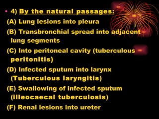<ul><li>4)  By the natural passages :   </li></ul><ul><li>  (A) Lung lesions into pleura </li></ul><ul><li>  (B) Transbron...