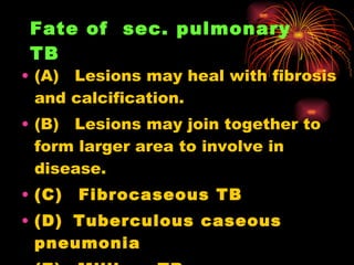 Fate of  sec. pulmonary TB   <ul><li>(A)   Lesions may heal with fibrosis and calcification. </li></ul><ul><li>(B)   Lesio...