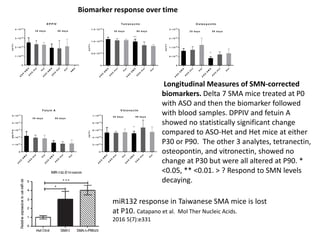 A
S
O
-
S
M
A
A
S
O
-
H
e
t
H
e
t
A
S
O
-
S
M
A
A
S
O
-
H
e
t
H
e
t
S
M
A
0
1 ×1 0 0 5
2 ×1 0 0 5
3 ×1 0 0 5
4 ×1 0 0 5
D P P IV
3 0 d a y s 9 0 d a y s
p
g
/
m
L
A
S
O
-
S
M
A
A
S
O
-
H
e
t
H
e
t
A
S
O
-
S
M
A
A
S
O
-
H
e
t
H
e
t
0
5 .0 ×1 0 0 3
1 .0 ×1 0 0 4
1 .5 ×1 0 0 4
T e tra n e c tin
3 0 d a y s 9 0 d a y s
p
g
/
m
L
* *
A
S
O
-
S
M
A
A
S
O
-
H
e
t
H
e
t
A
S
O
-
S
M
A
A
S
O
-
H
e
t
H
e
t
0
5 ×1 0 0 4
1 ×1 0 0 5
2 ×1 0 0 5
2 ×1 0 0 5
O s te o p o n tin
3 0 d a y s 9 0 d a y s
p
g
/
m
L
*
A
S
O
-
S
M
A
A
S
O
-
H
e
t
H
e
t
A
S
O
-
S
M
A
A
S
O
-
H
e
t
H
e
t
0
1 ×1 0 0 7
2 ×1 0 0 7
3 ×1 0 0 7
4 ×1 0 0 7
5 ×1 0 0 7
F e tu in A
3 0 d a y s 9 0 d a y s
p
g
/
m
L
A
S
O
-
S
M
A
A
S
O
-
H
e
t
H
e
t
A
S
O
-
S
M
A
A
S
O
-
H
e
t
H
e
t
0
2 ×1 0 0 5
4 ×1 0 0 5
6 ×1 0 0 5
8 ×1 0 0 5
1 ×1 0 0 6
V itro n e c tin
3 0 d a y s 9 0 d a y s
p
g
/
m
L
*
Longitudinal Measures of SMN-corrected
biomarkers. Delta 7 SMA mice treated at P0
with ASO and then the biomarker followed
with blood samples. DPPIV and fetuin A
showed no statistically significant change
compared to ASO-Het and Het mice at either
P30 or P90. The other 3 analytes, tetranectin,
osteopontin, and vitronectin, showed no
change at P30 but were all altered at P90. *
<0.05, ** <0.01. > ? Respond to SMN levels
decaying.
Biomarker response over time
miR132 response in Taiwanese SMA mice is lost
at P10. Catapano et al. Mol Ther Nucleic Acids.
2016 5(7):e331
 