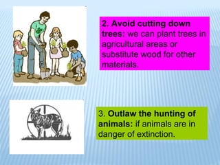 2. Avoid cutting down
trees: we can plant trees in
agricultural areas or
substitute wood for other
materials.
3. Outlaw the hunting of
animals: if animals are in
danger of extinction.
 