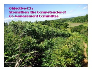 Objective-03 :
Strengthen the Competencies of
Co-Management Committee
 