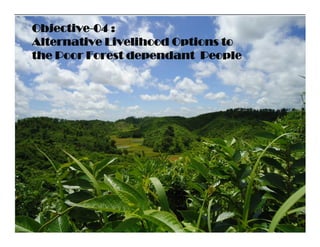 Objective-04 :
Alternative Livelihood Options to
the Poor Forest dependant People
 