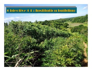 Objective-01 : Institution building
 