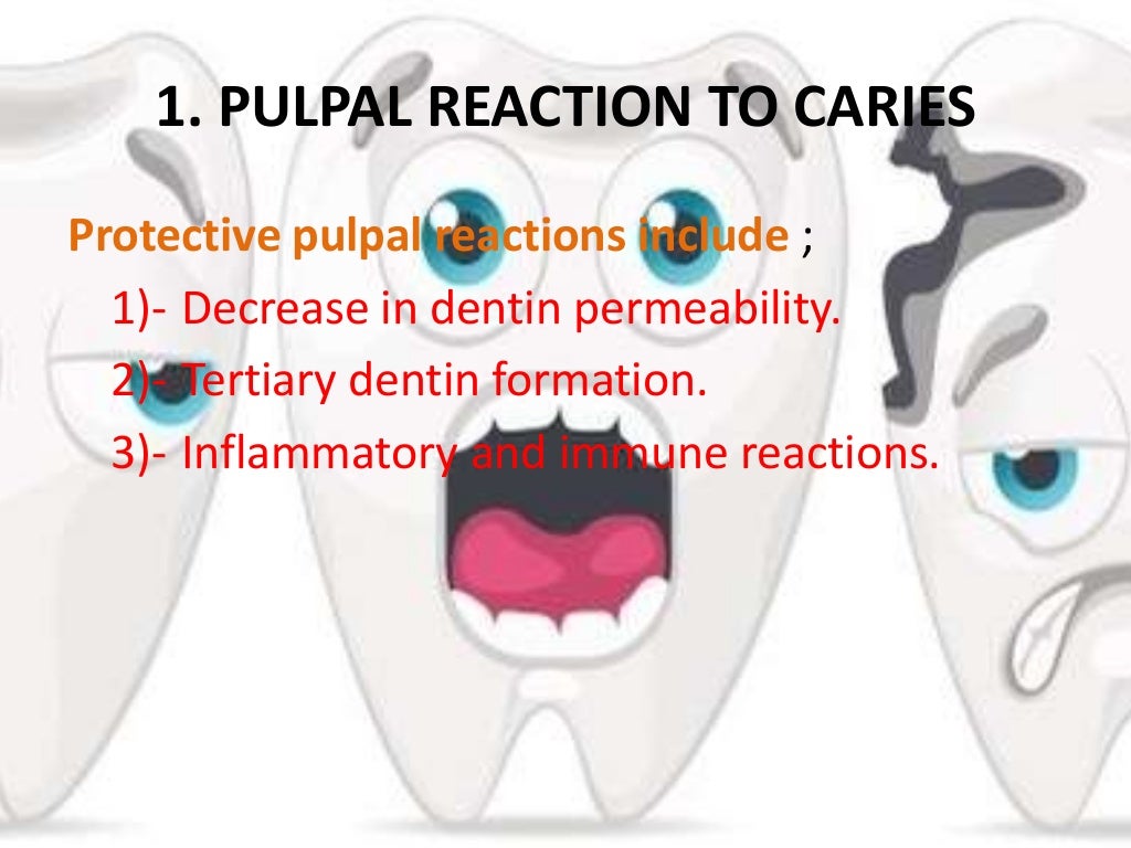 Pulpal Reactions to Dental Caries and Dental Proceudres