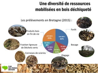 Une diversité de ressources
mobilisées en bois déchiqueté
Les prélèvements en Bretagne (2015) :
Forêt
Bocage
Elagage
Connexes de scieries
Fraction ligneuse
de Déchets verts
Produits bois
en fin de vie
 