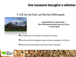 Une ressource bocagère a valoriser
4 125 km de haie sur Rennes Métropole
À condition d’un entretien de qualité et durable
Fonctionnalités écologique, agronomique, paysagère renforcées
Valorisation économique de la haie et de l’entretien
productivité de 1 km de haie =
50 et 100 tonnes de bois tous les 15 ans
= 1 ha de forêt
 