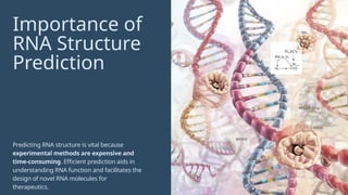 Presentation - RNA Structure Prediction (1).pptx