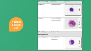 Presentation - Routine Examination of Body Fluids An Overview.pdf.pdf