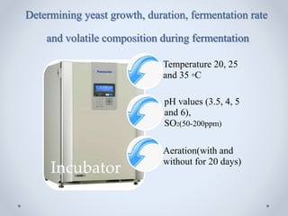 Effect of fermentation conditions on yeast growth and volatile ...
