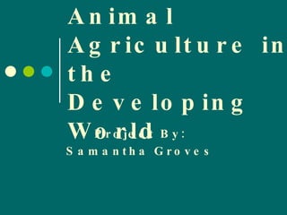Project By: Samantha Groves Animal Agriculture in the Developing World 
