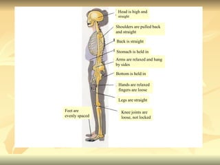 Head is high and straight Shoulders are pulled back and straight Back is straight Stomach is held in Arms are relaxed and hang by sides Bottom is held in Hands are relaxed  fingers are loose Legs are straight Knee joints are loose, not locked Feet are  evenly spaced 