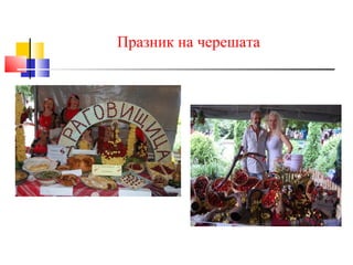 Празник на черешата
 