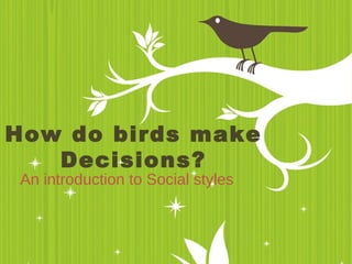 How do birds make Decisions? An introduction to Social styles  
