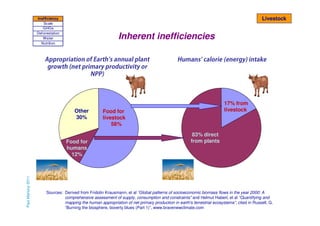 Solar Or Soy: Which is better for the planet? (A review of animal agriculture's impact)
