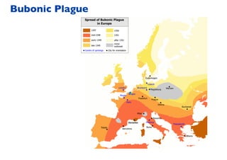 Bubonic Plague
 