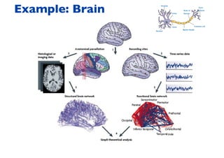 Example: Brain
 
