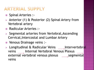  Spinal Arteries :-
 Anterior (1) & Posterior (2) Spinal Artery from
Vertebral artery
 Radicular Arteries :-
 Segmental arteries from Vertebral,Ascending
Cervical,Intercostal and Lumbar Artery
 Venous Drainage veins :-
 Longitudinal & Radicular Veins Intervertebral
veins Internal Vertebral Venous Plexus
external vertebral venous plexus segmental
veins
 