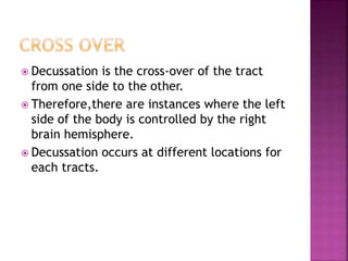  Decussation is the cross-over of the tract
from one side to the other.
 Therefore,there are instances where the left
side of the body is controlled by the right
brain hemisphere.
 Decussation occurs at different locations for
each tracts.
 