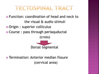  Function: coordination of head and neck to
the visual & audio stimuli
 Origin : superior colliculus
 Course : pass through periaquductal
(cross)
Dorsal tegmental
 Termination: Anterior median fissure
(cervical area)
 
