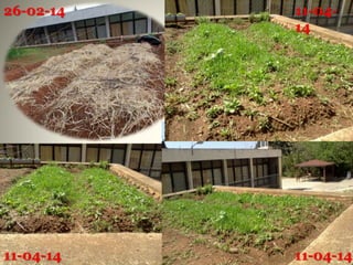 11-04-
14
11-04-14 11-04-14
26-02-14
 