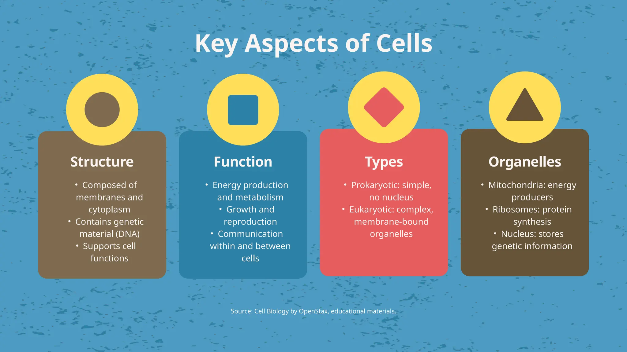 Presentation - The Building Block of Life.pptx