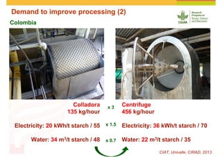 Cassava and the environment: inputs, outputs and externalities