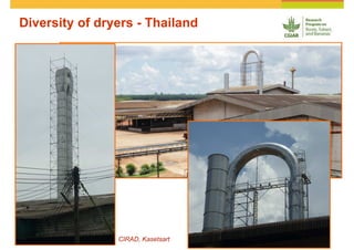 Cassava and the environment: inputs, outputs and externalities