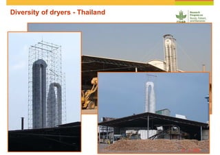 Cassava and the environment: inputs, outputs and externalities