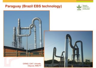 Cassava and the environment: inputs, outputs and externalities