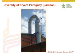 Cassava and the environment: inputs, outputs and externalities